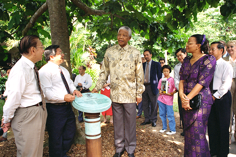 President of South Africa, Nelson Mandela, at the National Orchid Garden, 1997. The Paravanda Nelson Mandela was named after him during his visit to Singapore. Ministry of Information and the Arts Collection, courtesy of National Archives of Singapore.